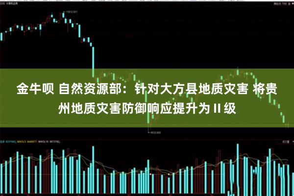 金牛呗 自然资源部：针对大方县地质灾害 将贵州地质灾害防御响应提升为Ⅱ级