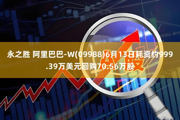 永之胜 阿里巴巴-W(09988)6月13日耗资约999.39万美元回购70.56万股