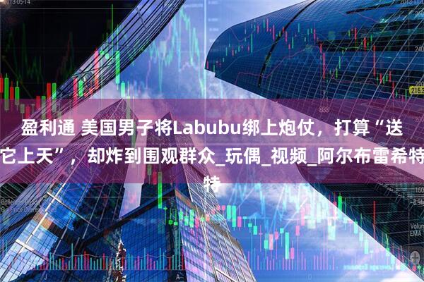 盈利通 美国男子将Labubu绑上炮仗，打算“送它上天”，却炸到围观群众_玩偶_视频_阿尔布雷希特
