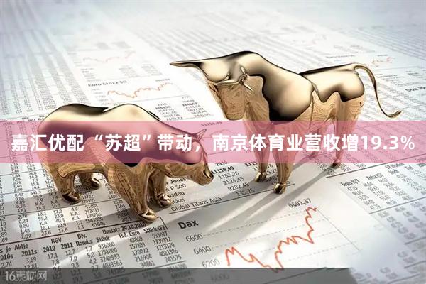 嘉汇优配 “苏超”带动，南京体育业营收增19.3%
