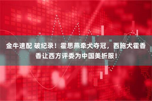 金牛速配 破纪录！霍思燕牵犬夺冠，西施犬霍香香让西方评委为中国美折服！